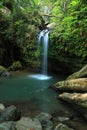 El Yunque Falls and Pool Royalty Free Stock Photo