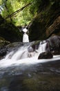 El Yunque National Forest Royalty Free Stock Photo