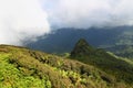 El Yunque National Forest Royalty Free Stock Photo