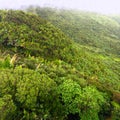 El Yunque National Forest Royalty Free Stock Photo