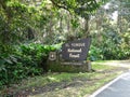 El Yunque National Forest Royalty Free Stock Photo