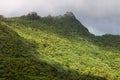 El Yunque National Forest Royalty Free Stock Photo