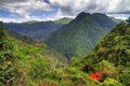 El Yunque panorama Royalty Free Stock Photo