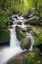 El Yunque river stream Royalty Free Stock Photo