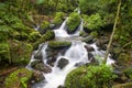 El Yunque river stream