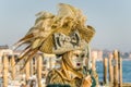 Elaborate Carnival Costume and Mask