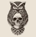 Elaborate drawing of Owl holding skull