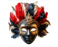 Elaborate feather mask for the Venice Carnival