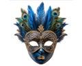 Elaborate feather mask for the Venice Carnival