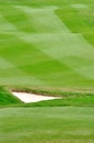 Elaborate lawn of golf field