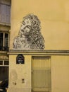 Elaborate wall art portrait of a woman on a wall on rue Amelot, Paris, France