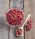 Elaeagnus umbellata berries Royalty Free Stock Photo