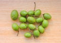 Elaeocarpus serratus is a tropical fruit found in Asia.