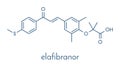 Elafibranor drug molecule. Skeletal formula. Royalty Free Stock Photo