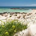Elafonisi beach (Crete, Greece) Royalty Free Stock Photo