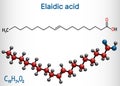 Elaidic acid molecule. Structural chemical formula and molecule model Royalty Free Stock Photo