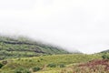 Eland are visible on the slopes of Ploughmans Kop Royalty Free Stock Photo