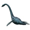 Elasmosaurus Royalty Free Stock Photo