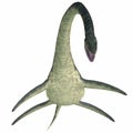 Elasmosaurus Aquatic Reptile