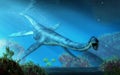 Elasmosaurus Swimming Towards You Royalty Free Stock Photo