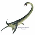 Elasmosaurus on White with Font