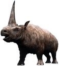 Elasmotherium 3D illustration Royalty Free Stock Photo