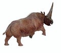 Prehistoric Elasmotherium Tail