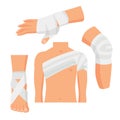 Elastic Medical Bandage Set Body Parts. Vector Royalty Free Stock Photo