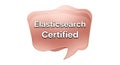 Elasticsearch certified badge recognition and professional development achievement Royalty Free Stock Photo