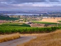 Working Barn on Napa Valley Vineyard Royalty Free Stock Photo