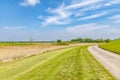 the Elbauen in Lower Saxony, Germany. You see a landscape with meadows, fields and trees near the river Elbe bikeway