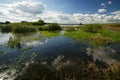 Elbe River Royalty Free Stock Photo