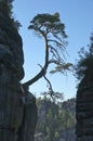 The Elbe Sandstone Mountains