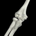 Elbow Bones Royalty Free Stock Photo