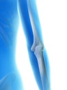 the elbow joint Royalty Free Stock Photo