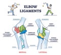 Elbow ligaments with medical medial or lateral xray structure outline diagram