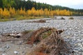 Elbow river valley in autumn Royalty Free Stock Photo