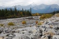 Elbow river valley in autumn Royalty Free Stock Photo