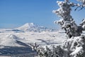 Elbrus Royalty Free Stock Photo