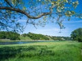 Elbe riverside meadows, Dresden, Saxony, Germany Royalty Free Stock Photo