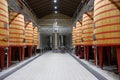 Interior of a wine cellar of the Rioja called Marques de Riscal with large barrels where the grapes are thrown so that