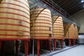 Interior of a wine cellar of the Rioja called Marques de Riscal with large barrels where the grapes are thrown so that