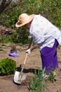 Eldely woman with shovel in the garden Royalty Free Stock Photo