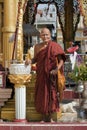 Elder Burmese Buddhist Monk