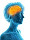 An elder females brain Royalty Free Stock Photo