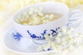 Elder flower tea Royalty Free Stock Photo