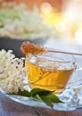 Elder flower tea Royalty Free Stock Photo