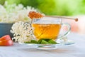 Elder flower tea Royalty Free Stock Photo