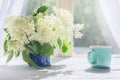 Elder flowers and cup of hot coffee by the sunlight window Royalty Free Stock Photo