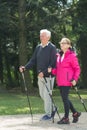 Elder pair strolling